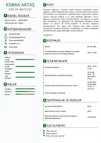 Çocuk Bakıcısı CV Örnekleri cv indir